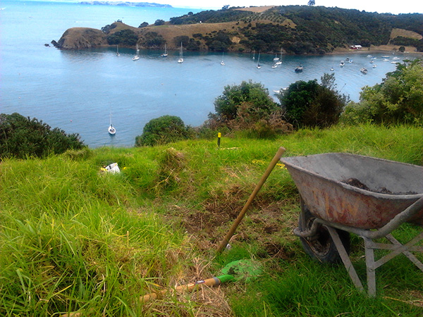 little bush (installation view 1)