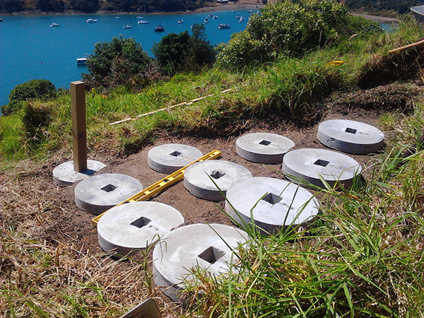 little bush (installation view 2)