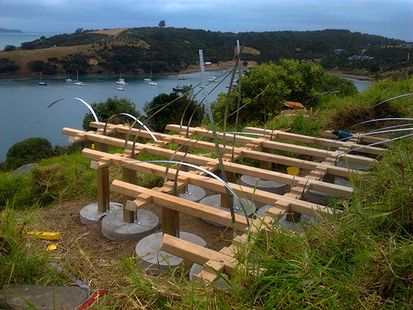 little bush (installation view 3)