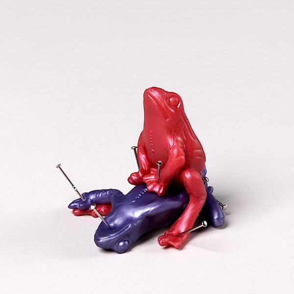 the lover&rsquo;s guide to sexual fulfilment: the bee