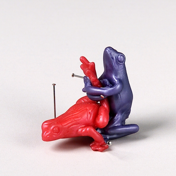 the lover&rsquo;s guide to sexual fulfilment: the cat