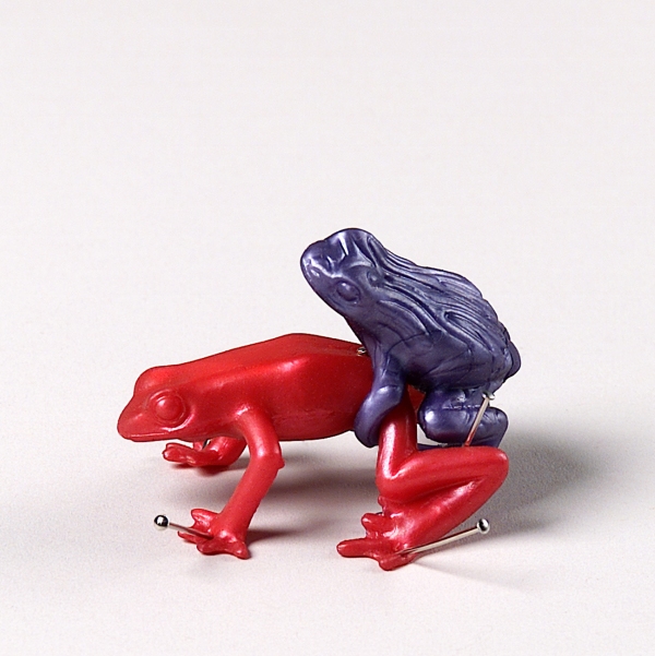 the lover&rsquo;s guide to sexual fulfilment: the cow